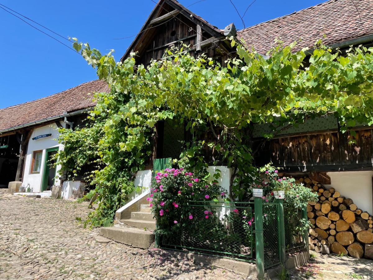 Saschiz 130/Lodging And Glamping 외부 사진