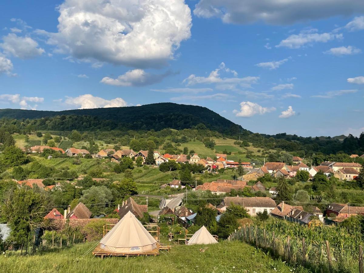 Saschiz 130/Lodging And Glamping 외부 사진