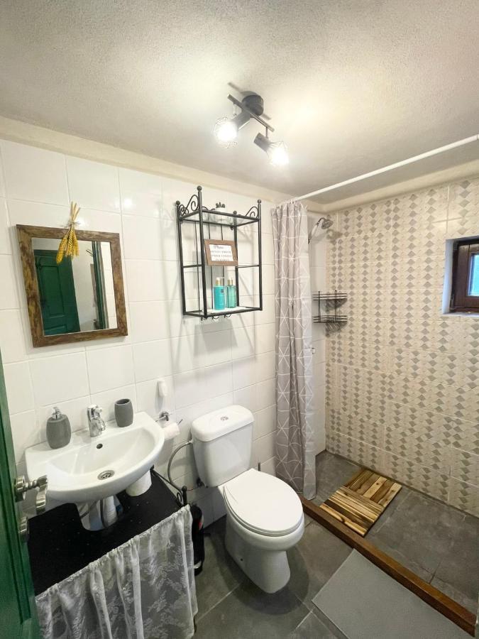 Saschiz 130/Lodging And Glamping 외부 사진